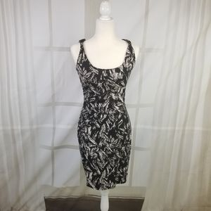 Ann Taylor Dress
